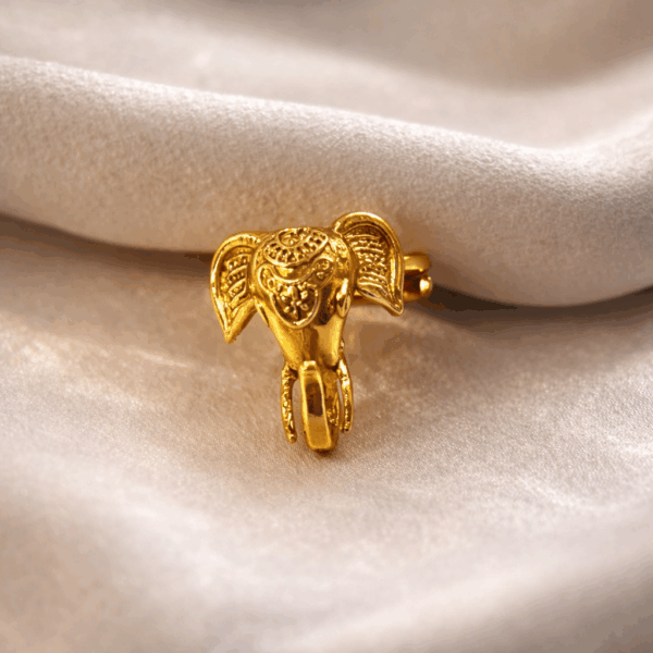 20BFCCC5-B7B0-4346-9E55-52D410A6F7D7